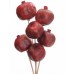 POMEGRANATE Red 16"- OUT OF STOCK
